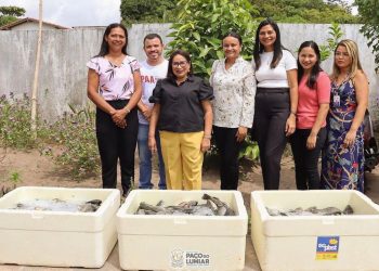 Cumprindo a função precípua de cuidar do cidadão, Prefeitura do Paço do Lumiar distribuiu 300 kg de pescado aos munícipes