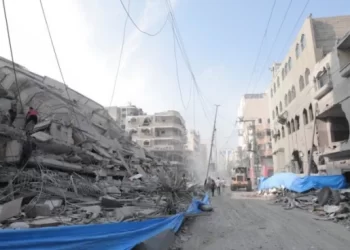 Alimentos doados pelo MST seguem para Faixa de Gaza em avião da FAB