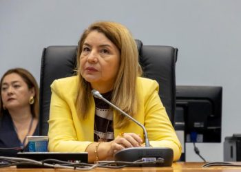 Barreirinhas: Iracema Vale rebate ataques do prefeito de Barreirinhas e defende sua atuação parlamentar