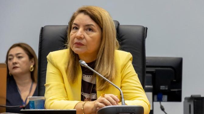 Barreirinhas: Iracema Vale rebate ataques do prefeito de Barreirinhas e defende sua atuação parlamentar