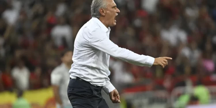 Flamengo: Tite evita falar de chance de título do Flamengo: “Objetivo é o crescimento”
