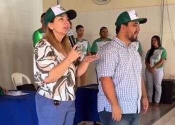 Barreirinhas: Fragmentos da sucessão