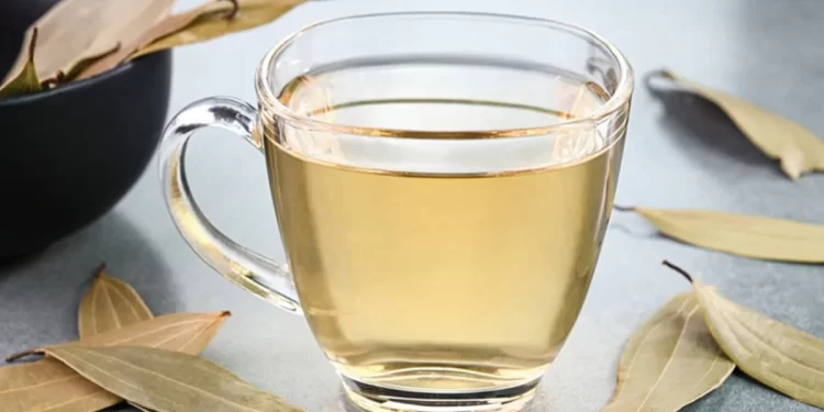 Chá de louro: saiba principais benefícios da bebida antioxidante