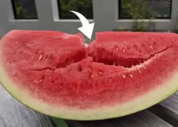 Se ao cortar a melancia encontrar uma RACHADURA no centro, saiba o que significa exatamente!