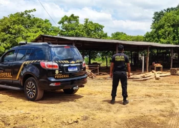 BURITICUPU : PF faz operação de combate ao recebimento ilegal de madeira oriunda de Terras Indígenas, no Maranhão