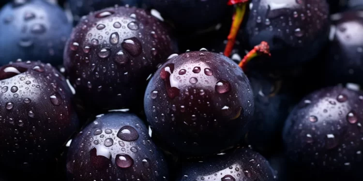 Isso acontece com seu corpo quando você come açaí todos os dias durante um mês