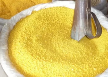 São Luís: 1º Concurso da Melhor Farinha d’Água do Maranhão será realizado em São Luís; saiba como participar