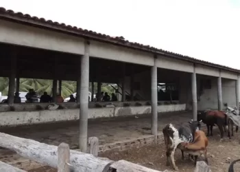 Mais de 2,8 mil pessoas deixam trabalho análogo à escravidão