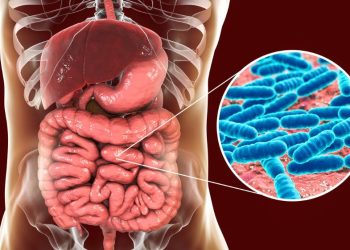 7 “sinais” de alerta que seu cocô está dando sobre o culpado número 1 do intestino preso. Entenda