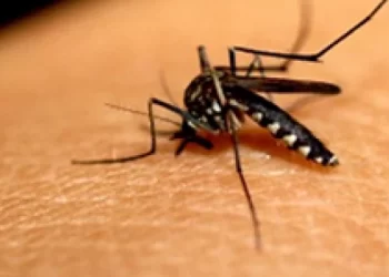 Mais de R$ 1,4 milhão é destinado ao Maranhão para enfrentamento de arboviroses