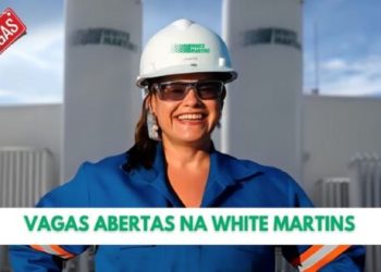 White Martins está com 66 vagas de emprego com e sem experiência para motoristas, técnicos, engenheiros, aprendizes e outros