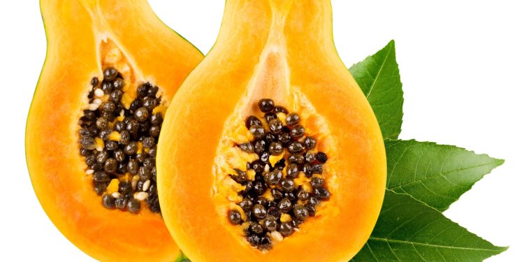 Pode comer mamão todos os dias? Nutricionista esclarece