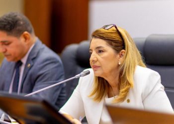 Iracema Vale enaltece atuação do governador Brandão na segurança pública do estado