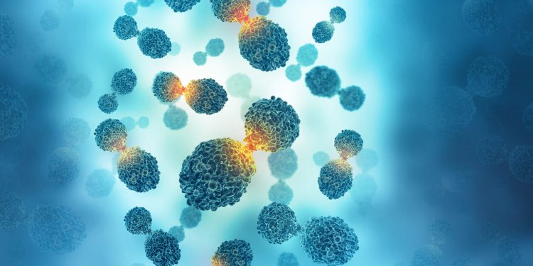 Fruta que ajuda a prevenir infecção urinária e alguns tipos de câncer