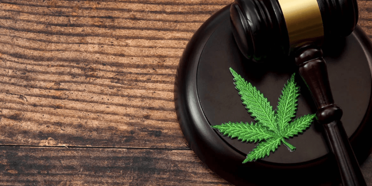 Por 8 a 3, STF libera maconha para uso pessoal
