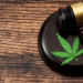 Por 8 a 3, STF libera maconha para uso pessoal