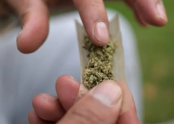 DPE quer revogar sanções a apenados por porte de maconha no MA