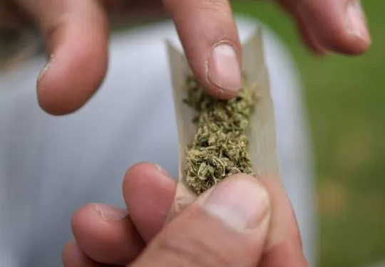 DPE quer revogar sanções a apenados por porte de maconha no MA