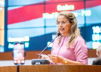 CEADEMA define Mical Damasceno como nome para a Câmara Federal