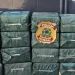 PF prende três pessoas com mais de uma tonelada de cocaína em Chapadinha